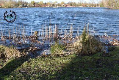 Scenic view of lake