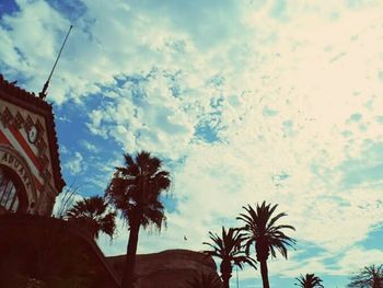 Low angle view of palm trees against cloudy sky