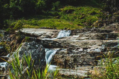 Stream flowing through rocks in forest