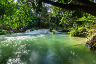 Scenic view of waterfall in forest