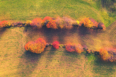 High angle view of water