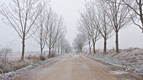 Road amidst bare trees against sky