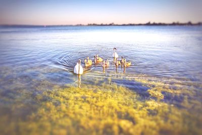 Scenic view of lake