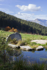Scenic view of lake by trees against sky