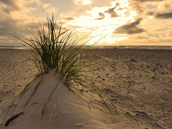 Scenic view of beach against sky during sunset