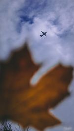 Low angle view of airplane in flight against sky