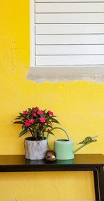 Potted plant with watering can on table by yellow wall