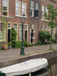 Potted plants on street by building