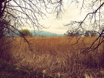 Scenic view of landscape against cloudy sky