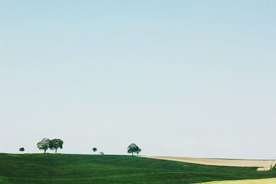 Trees on field against clear sky