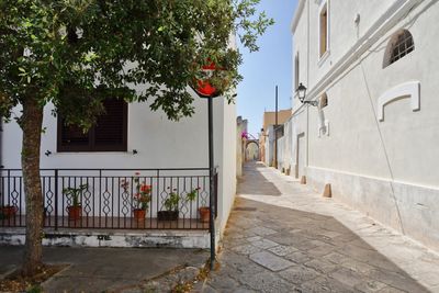 A small street between the old houses of presicce, a  village in the province of lecce in italy.