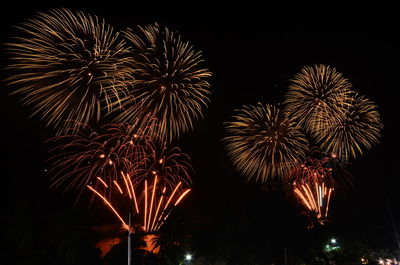 Low angle view of firework display at night