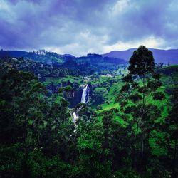 Scenic view of forest against cloudy sky