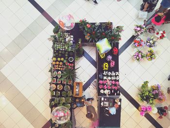 High angle view of multi colored flowers