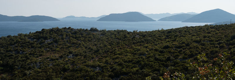 Scenic view of trees and mountains