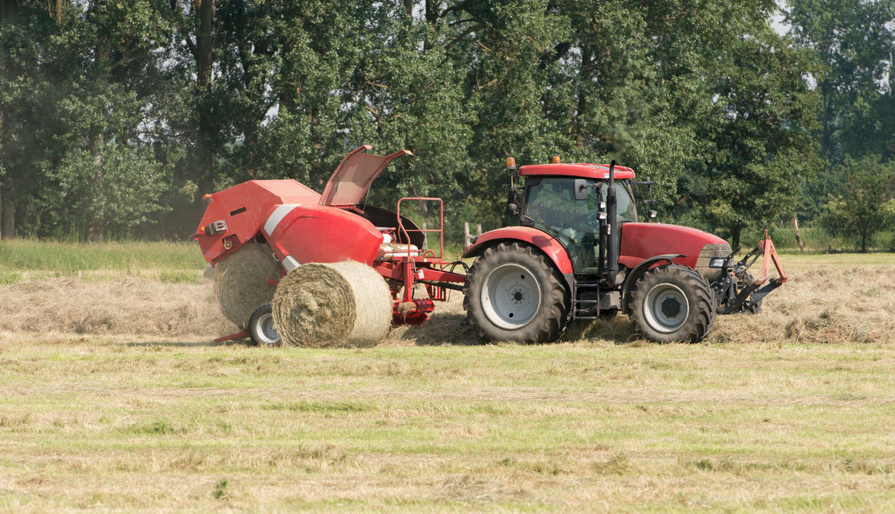 PEOPLE SITTING IN FIELD