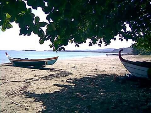 beach, sea, sand, water, nautical vessel, horizon over water, transportation, boat, shore, tranquility, tree, mode of transport, tranquil scene, moored, nature, sunlight, sky, scenics, beauty in nature, day