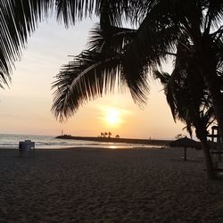 Scenic view of beach at sunset