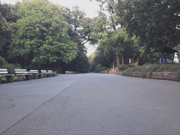 Empty road along trees