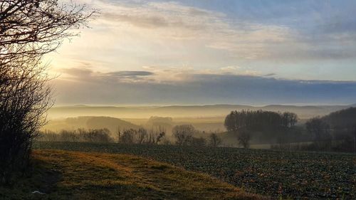 Scenic view of field against sky during sunset