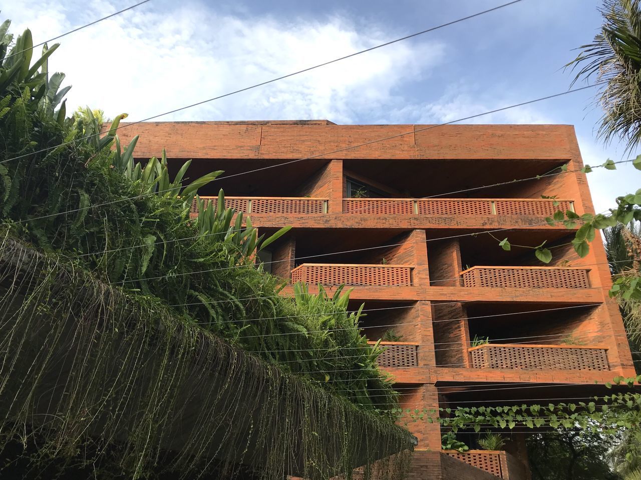 LOW ANGLE VIEW OF TREES AND BUILDING AGAINST SKY