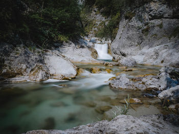 Stream flowing through rocks in forest