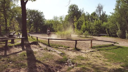 Man sitting on street amidst trees