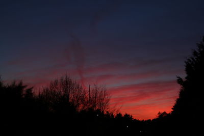 Silhouette trees against sky during sunset