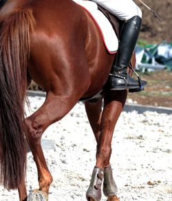Low section of person riding horse