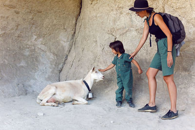 Family of tourists a mother with a backpack in a hat and a son stand on mountain near rock next goat