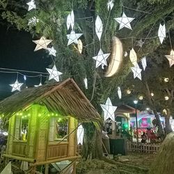 View of fish hanging from roof at night