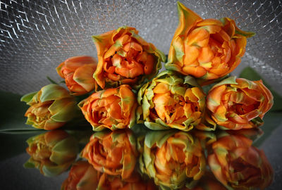 High angle view of orange flowers on table
