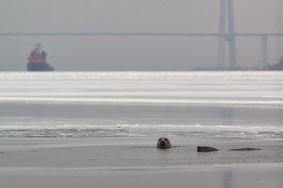 Scenic view of sea against sky