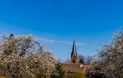 Low angle view of trees and buildings against blue sky