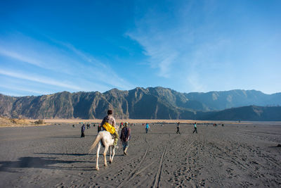 Woman with dog on the beach