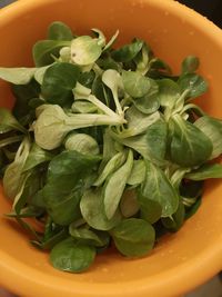 High angle view of chopped vegetables in bowl