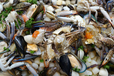 Close-up of fish for sale