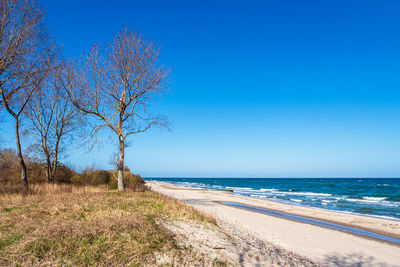 Scenic view of sea against clear blue sky