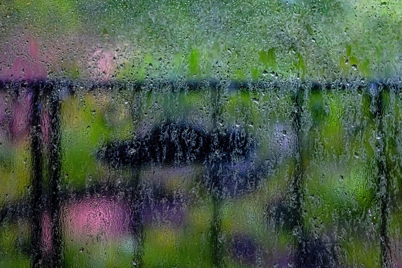 full frame, backgrounds, green, wet, glass, drop, window, water, no people, nature, transparent, close-up, pattern, grass, leaf, textured, day, rain, reflection, outdoors, multi colored, flower, abstract, raindrop, plant