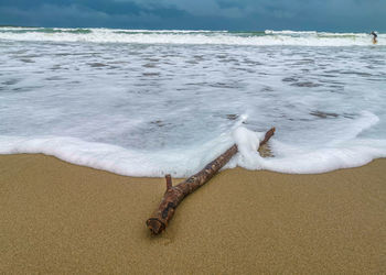 Driftwood on beach by sea against sky