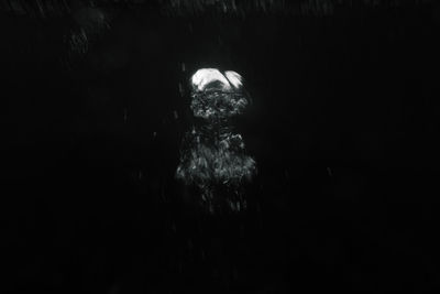 Digital composite image of people standing in the dark