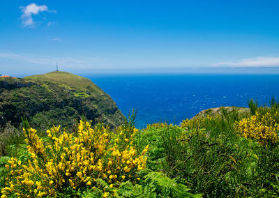Scenic view of sea against blue sky