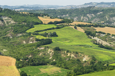 High angle view of trees on field