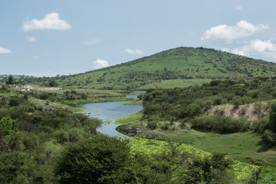 Scenic view of green landscape against sky