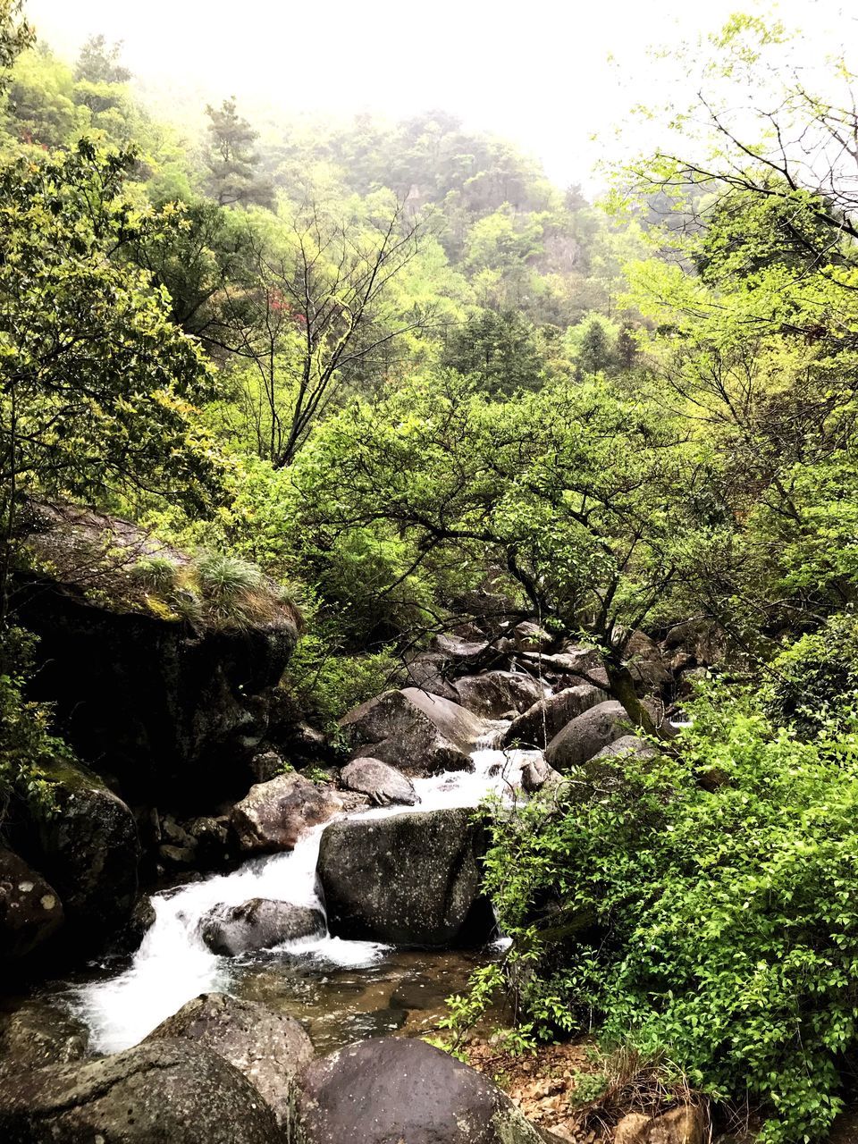 SCENIC VIEW OF WATERFALL