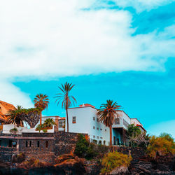 Tropical travel vacation vibes. canary island