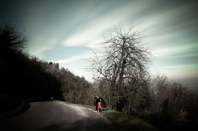 Man walking on road amidst trees against sky