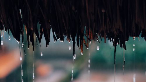 Close-up of raindrops falling from roof during rainy season