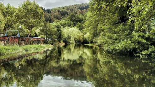 Scenic view of lake amidst trees in forest