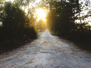 Road passing through trees